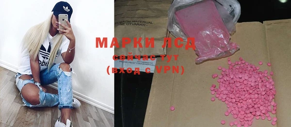индика Абинск