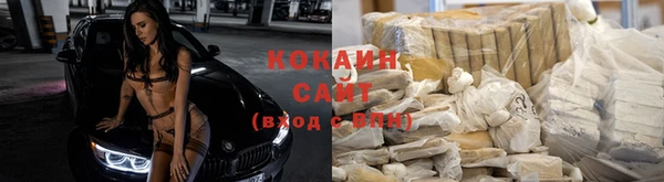 индика Абинск