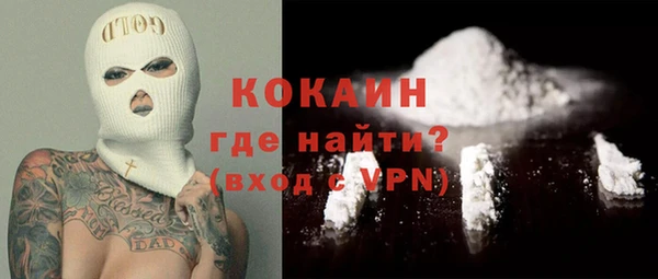 индика Абинск