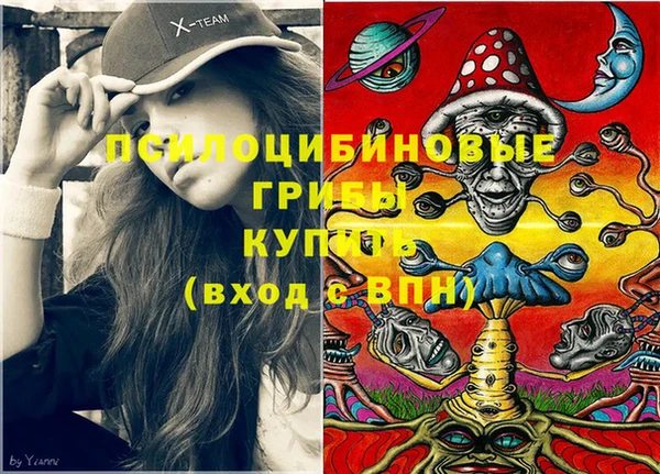 сатива Алзамай
