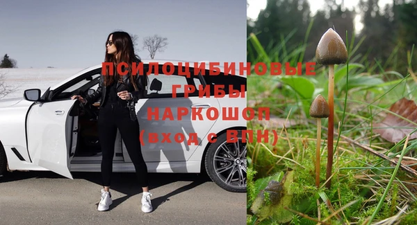 стафф Алексин