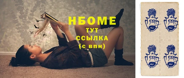 индика Абинск