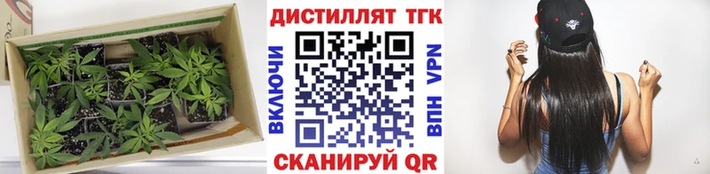 Дистиллят ТГК гашишное масло  наркошоп  Брюховецкая 